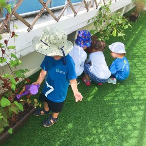 Childcare Age 6 above