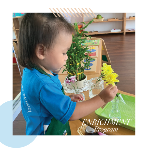 inno-class3-en-on4i6b80d5s5pvwd23mnoigeoehvseob3g53bdngq8